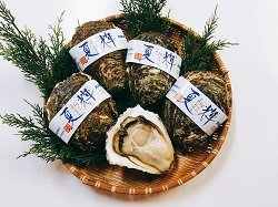 画像1: 鳥取県産天然岩牡蠣「夏輝」（生食用）５個入り