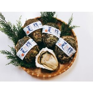 画像: 鳥取県産天然岩牡蠣「夏輝」（生食用）５個入り