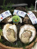 画像: 夏(６～８月)が旬の『鳥取県産天然岩牡蠣』が解禁となりました。
